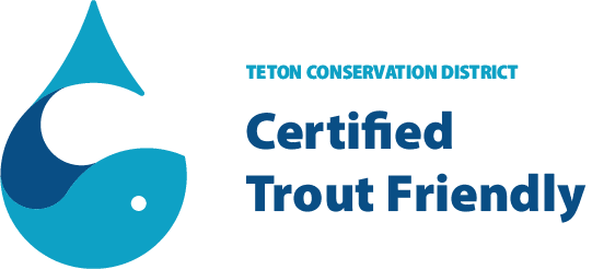 TF_Logo_Certified_TCD_Transparent